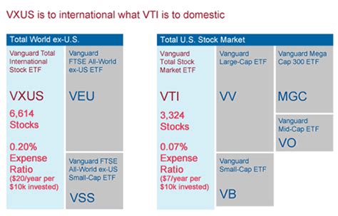 vgtsx morningstar|is vtiax a foreign investment.